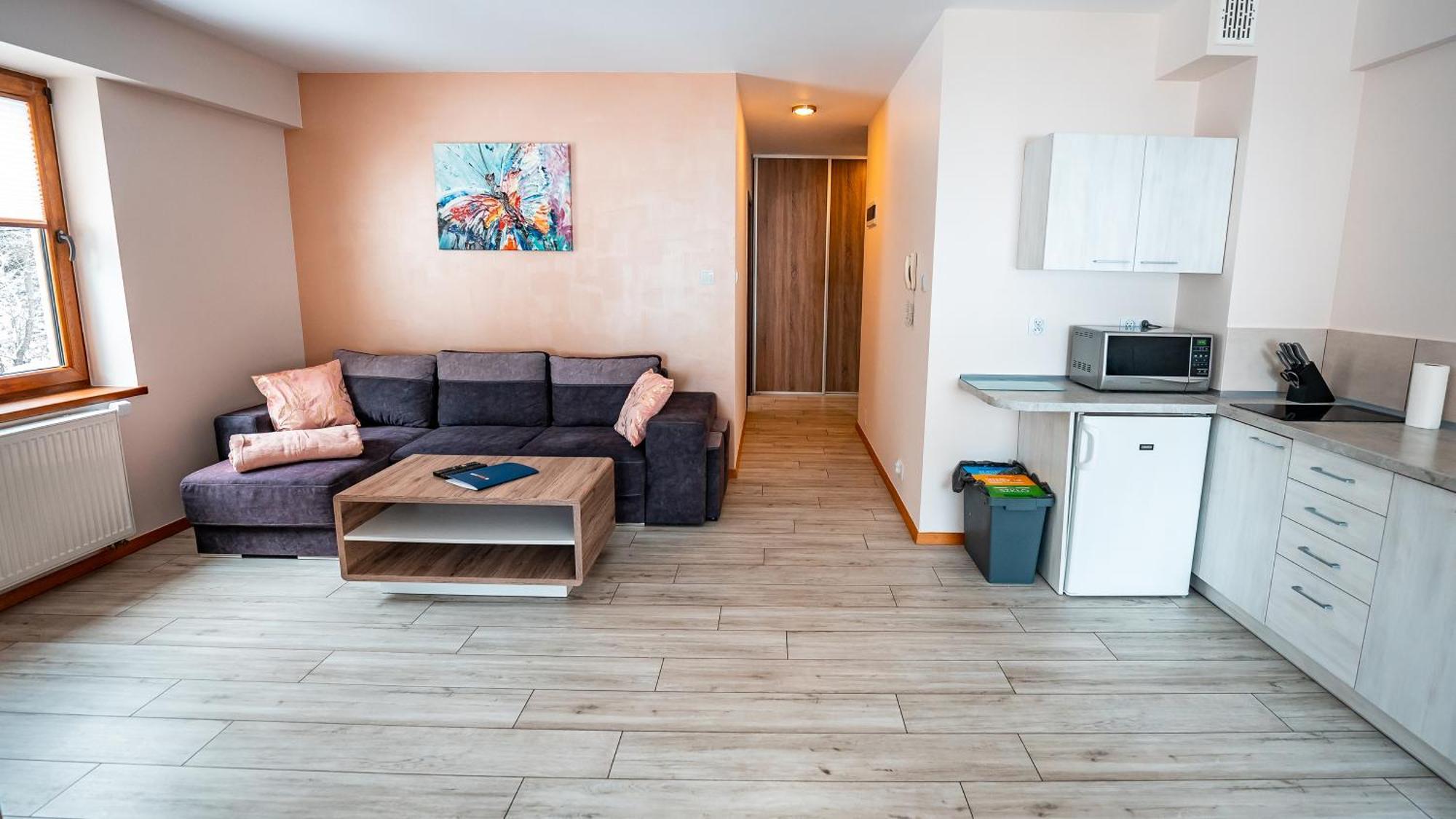 Apartamenty Sun & Snow Zielona Krynica Exterior foto