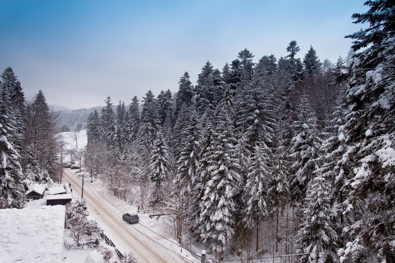 Apartamenty Sun & Snow Zielona Krynica Exterior foto