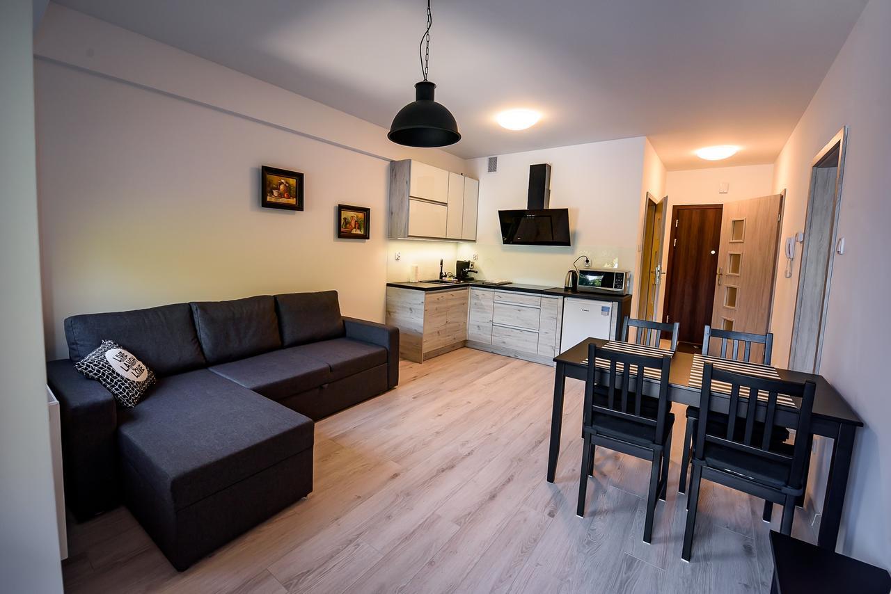 Apartamenty Sun & Snow Zielona Krynica Exterior foto